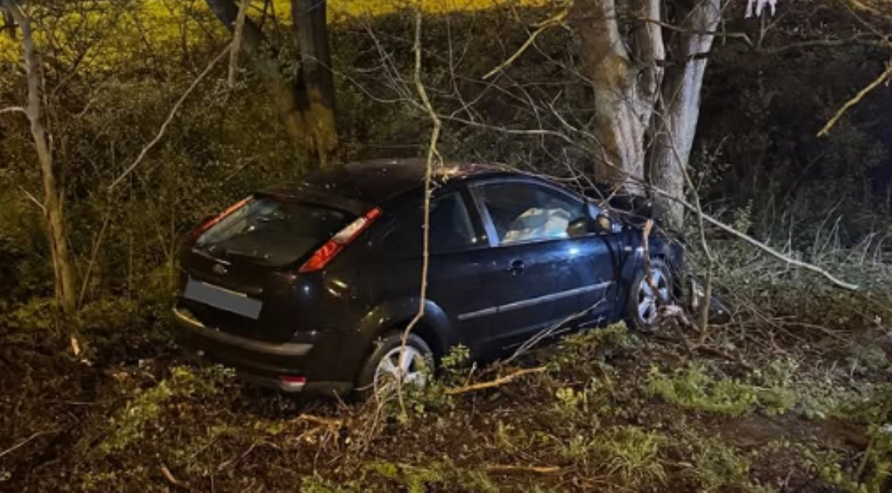 Auto vliegt uit bocht, tegen boom op afrit A20