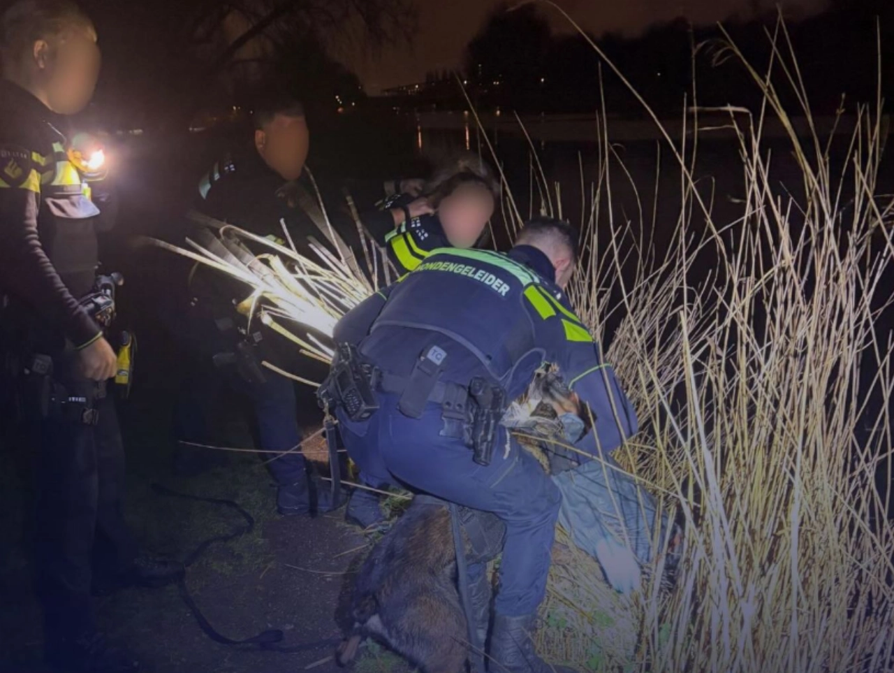 Autodief maakt in Vlaardingen kennis met politiehond Goofy