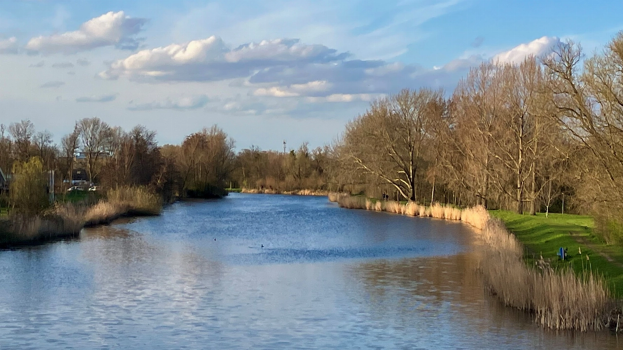 Vlaardingen versterkt stadsnatuur tot groen netwerk