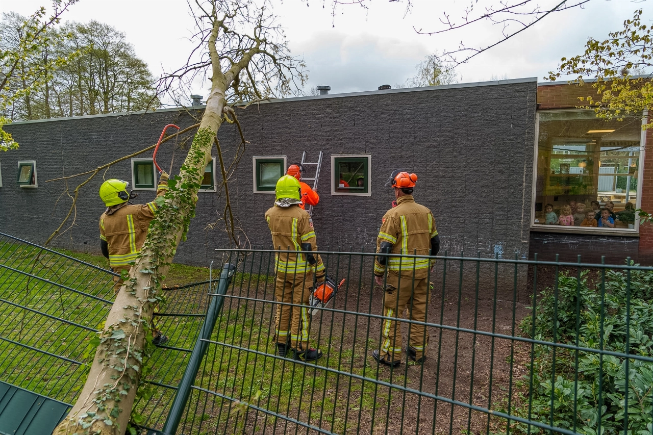 Boom valt op dak van kinderdagverblijf in Vlaardingen