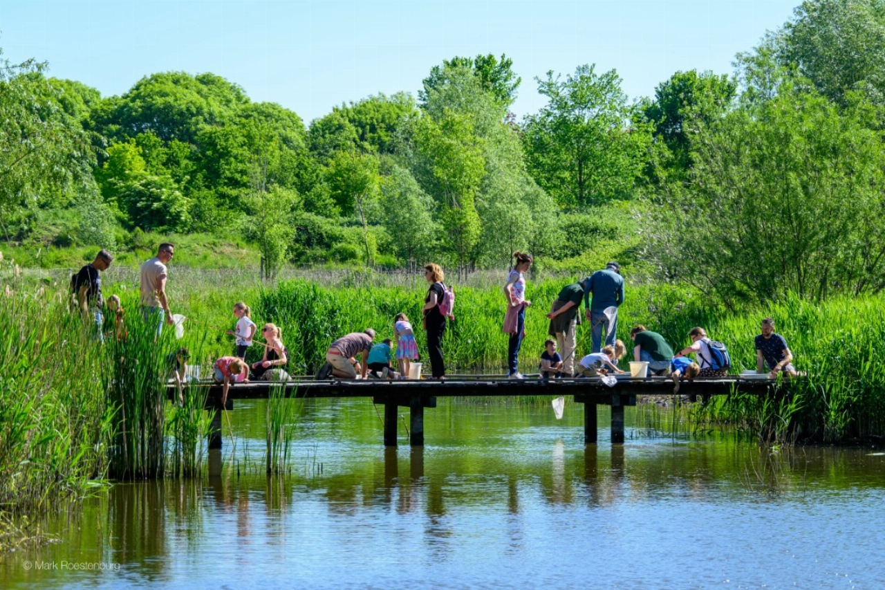 Op ontdekkingstocht tijdens Slootjesdag in de Broekpolder