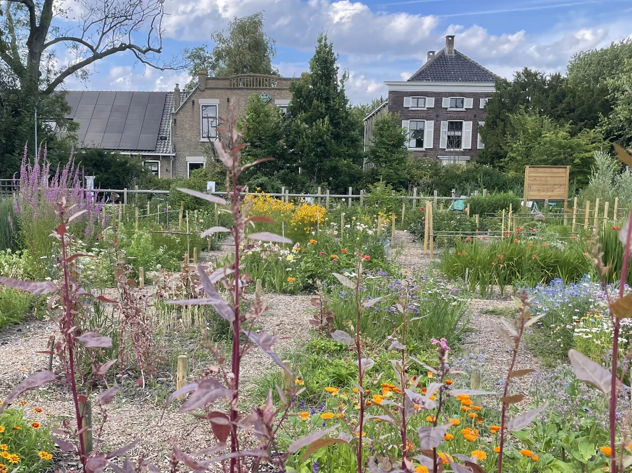 Plantjes te koop bij de Stadsboeren