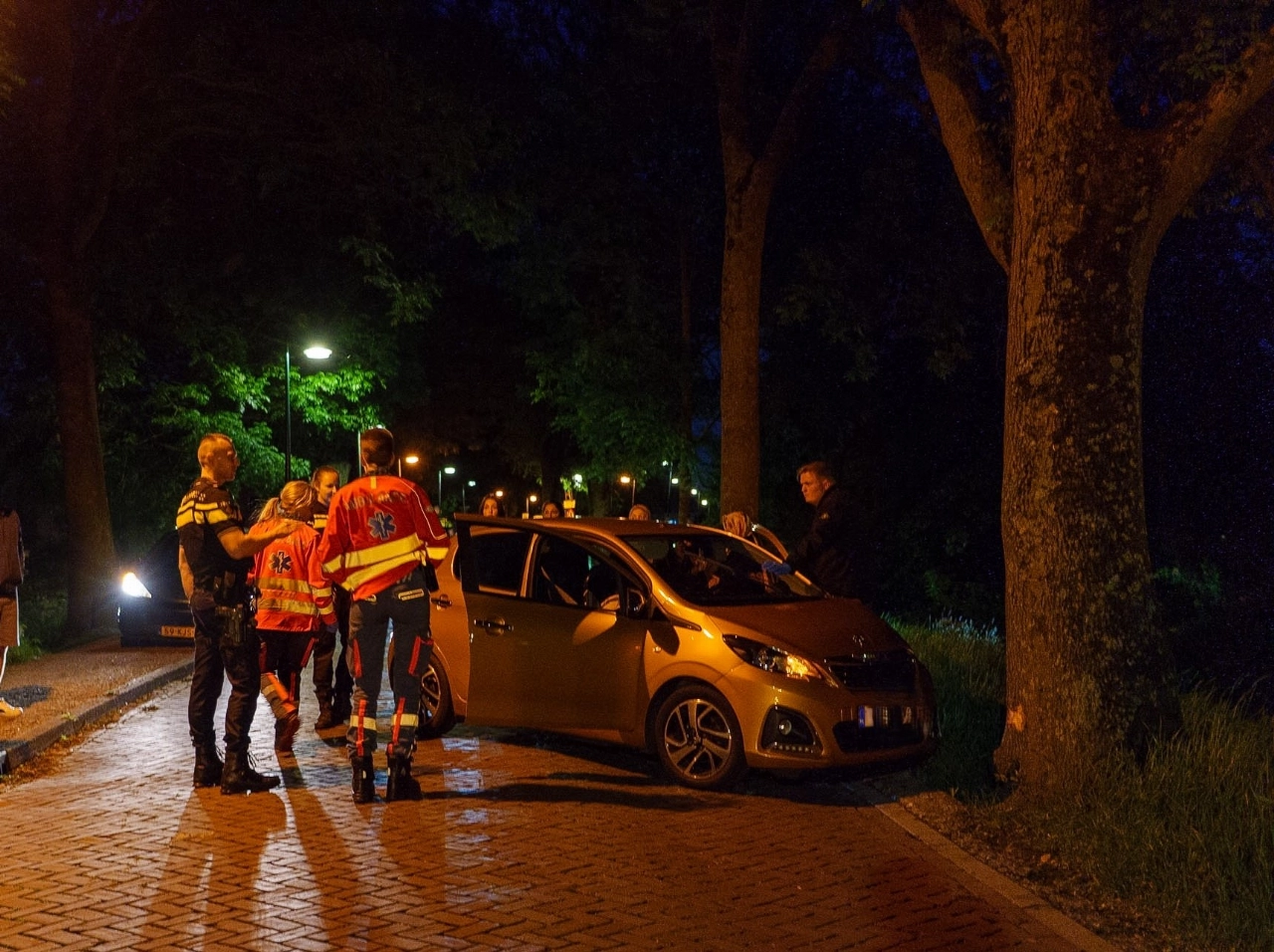 Auto rijdt tegen boom Maassluissedijk Vlaardingen
