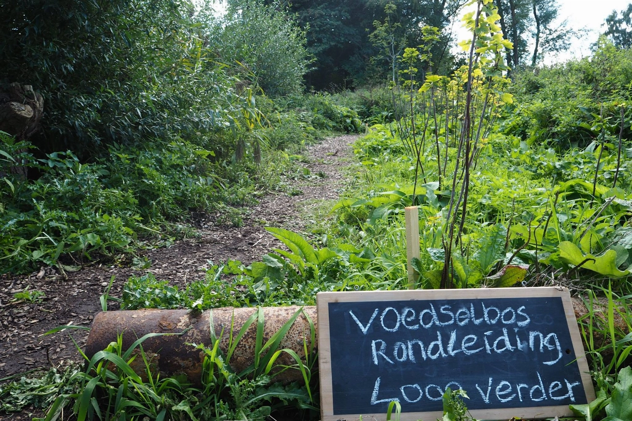 Rondleiding door Voedselbos Vlaardingen