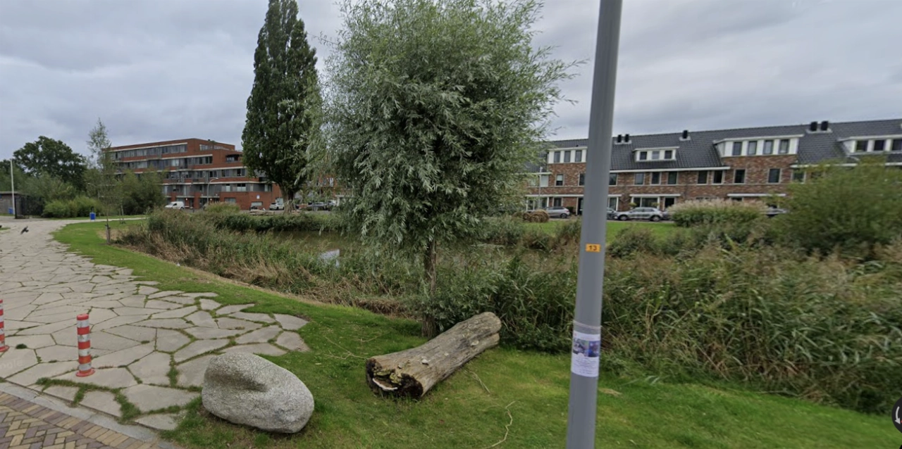 PRO Vlaardingen stelt vragen over snoeiwerkzaamheden na dood egel en vernielde vogelnesten
