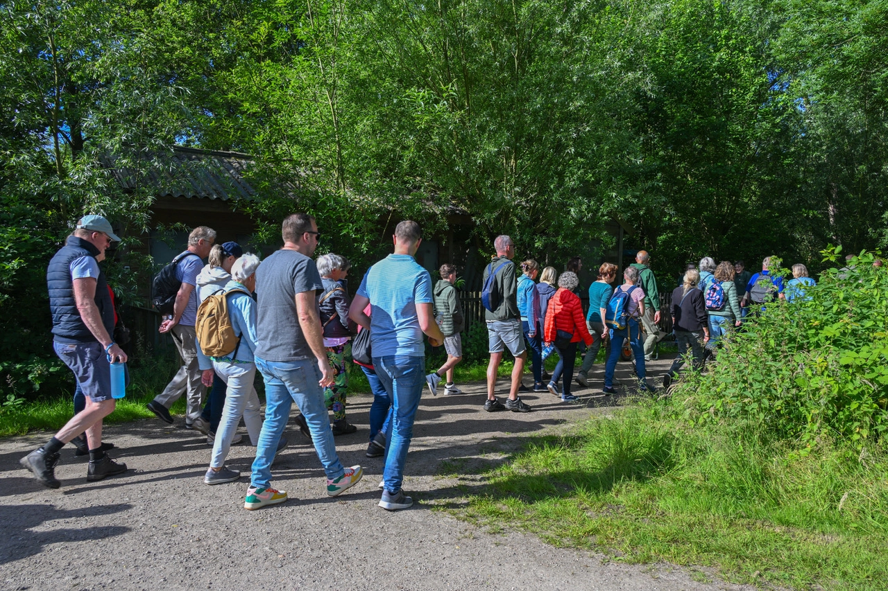 Zomeravondwandeling biedt nieuwe kijk op de Broekpolder