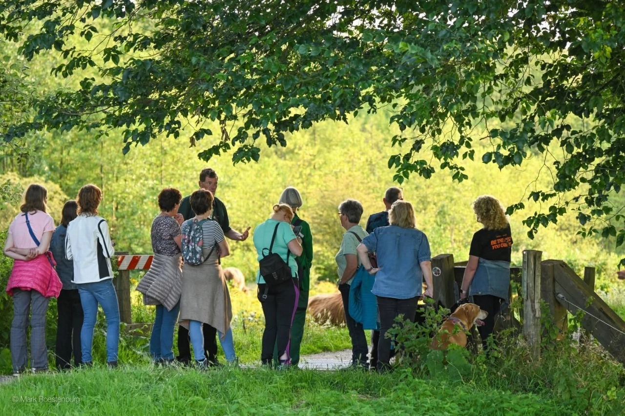 Wandelen in de Broekpolder