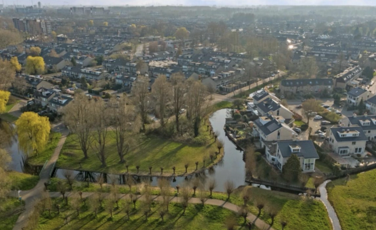 65 bomen op de kaplijst in Holy: VVD vraagt college om uitleg