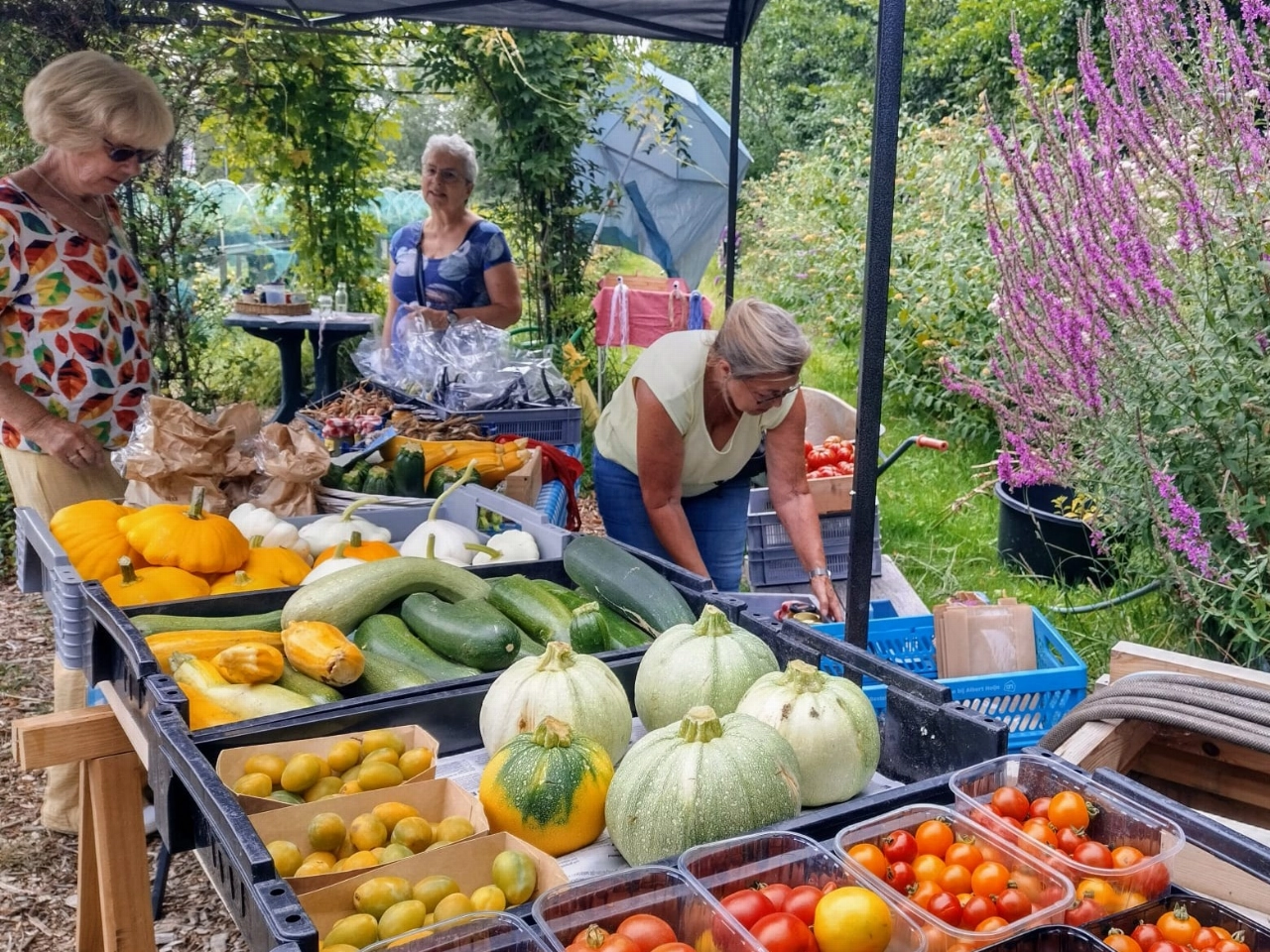 Oogstmarkt en Open Akker bij Stadslandbouw Van Ruytenburch