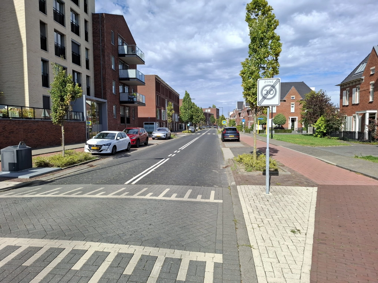 Kritiek op nieuwe verkeersdrempel Hoflaan: ‘Effect is averechts’