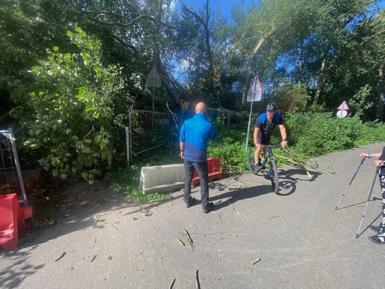 Wandelaars moeten duiken voor vallende boom