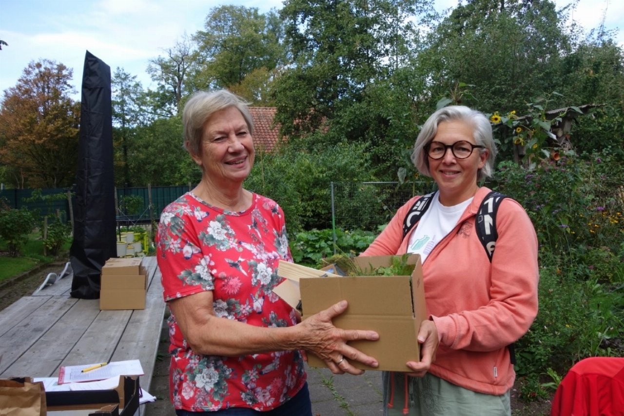 Plantjes voor een bomenspiegel