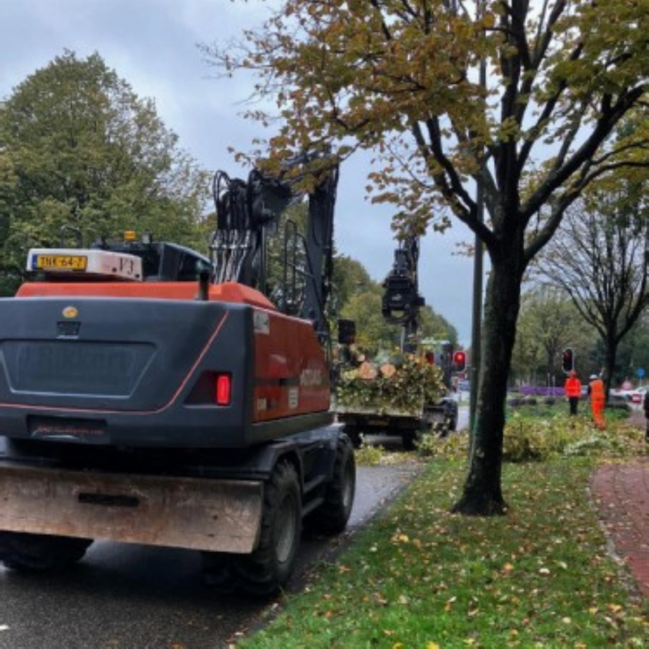Gemeente kapt 44 bomen langs Holysingel