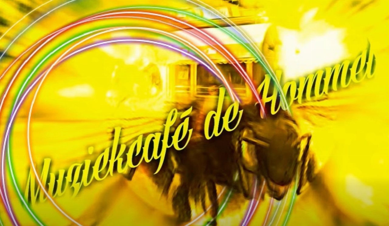 Muziekcafé De Hommel neemt afscheid met allerlaatste jamsessie