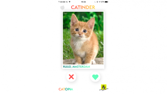 Een kat vinden via Catinder