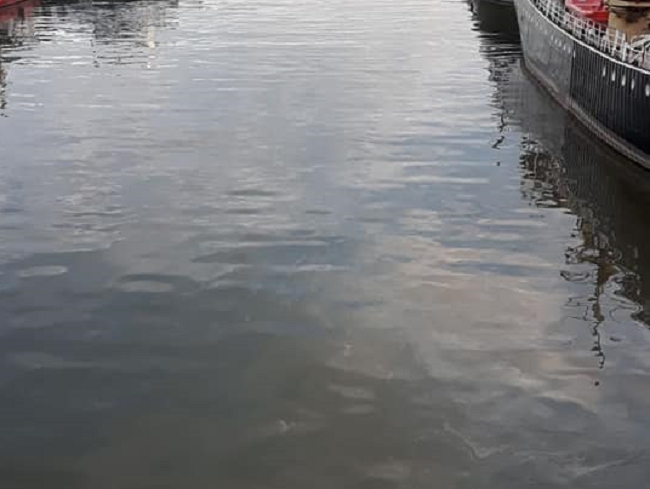 Haven Maassluis afgesloten wegens olielekkage