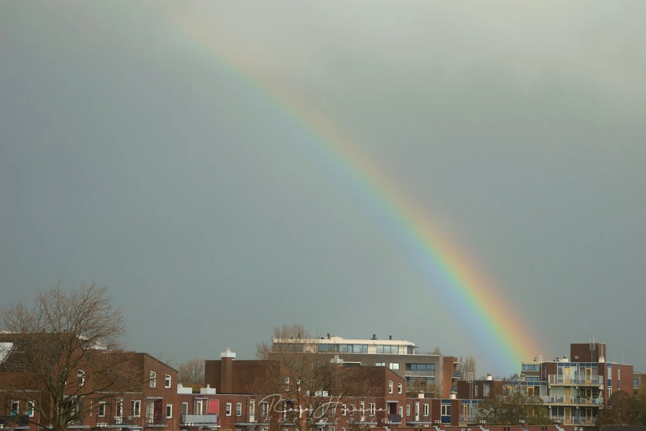Regenboog boven Maassluis