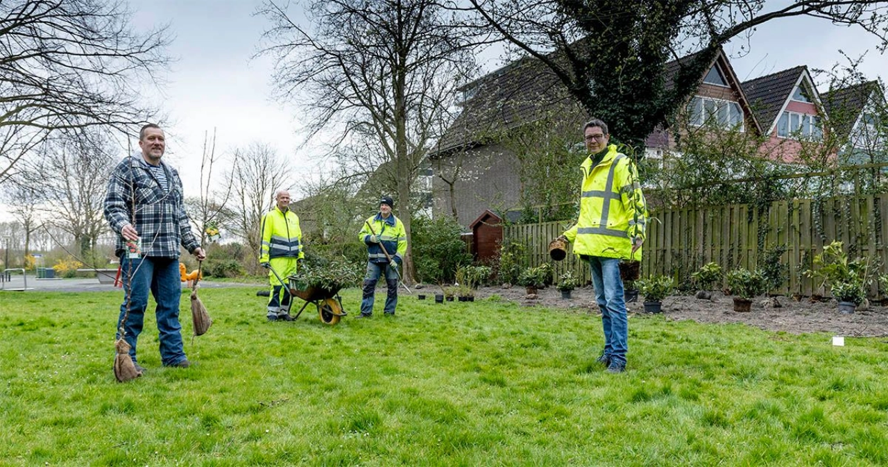 Nieuwe struiken en bomen in een openbare groenstrook