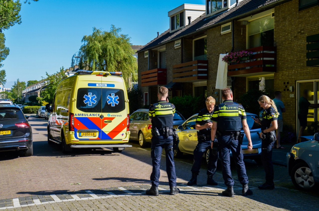 Automobilist botst tegen woning aan het Lepelaarplantsoen