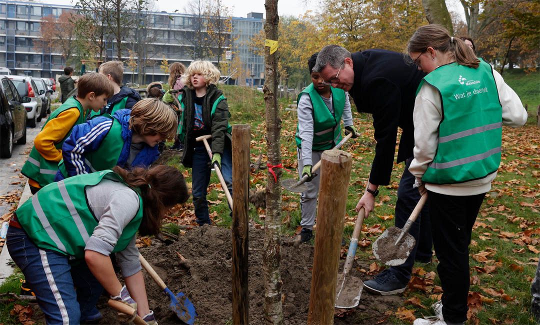 Maassluise scholieren planten bomen vanwege Boomfeestdag