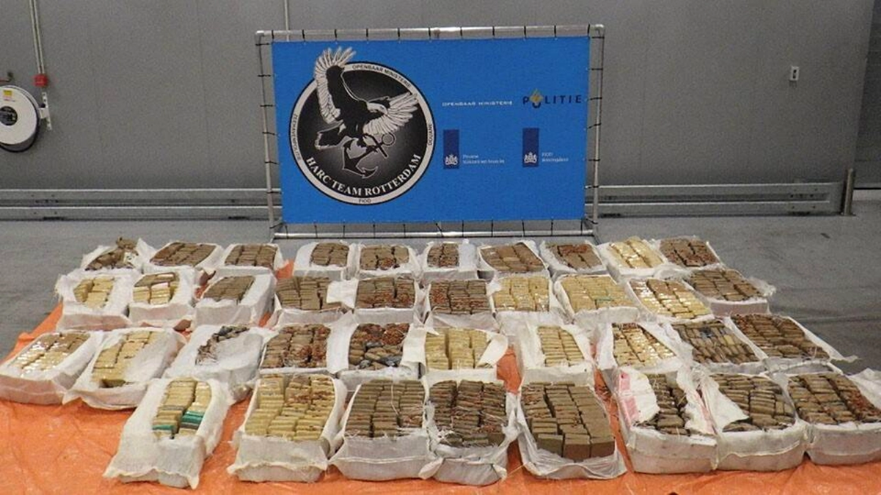 Douane onderschept 1686 kilo coca&iuml;ne