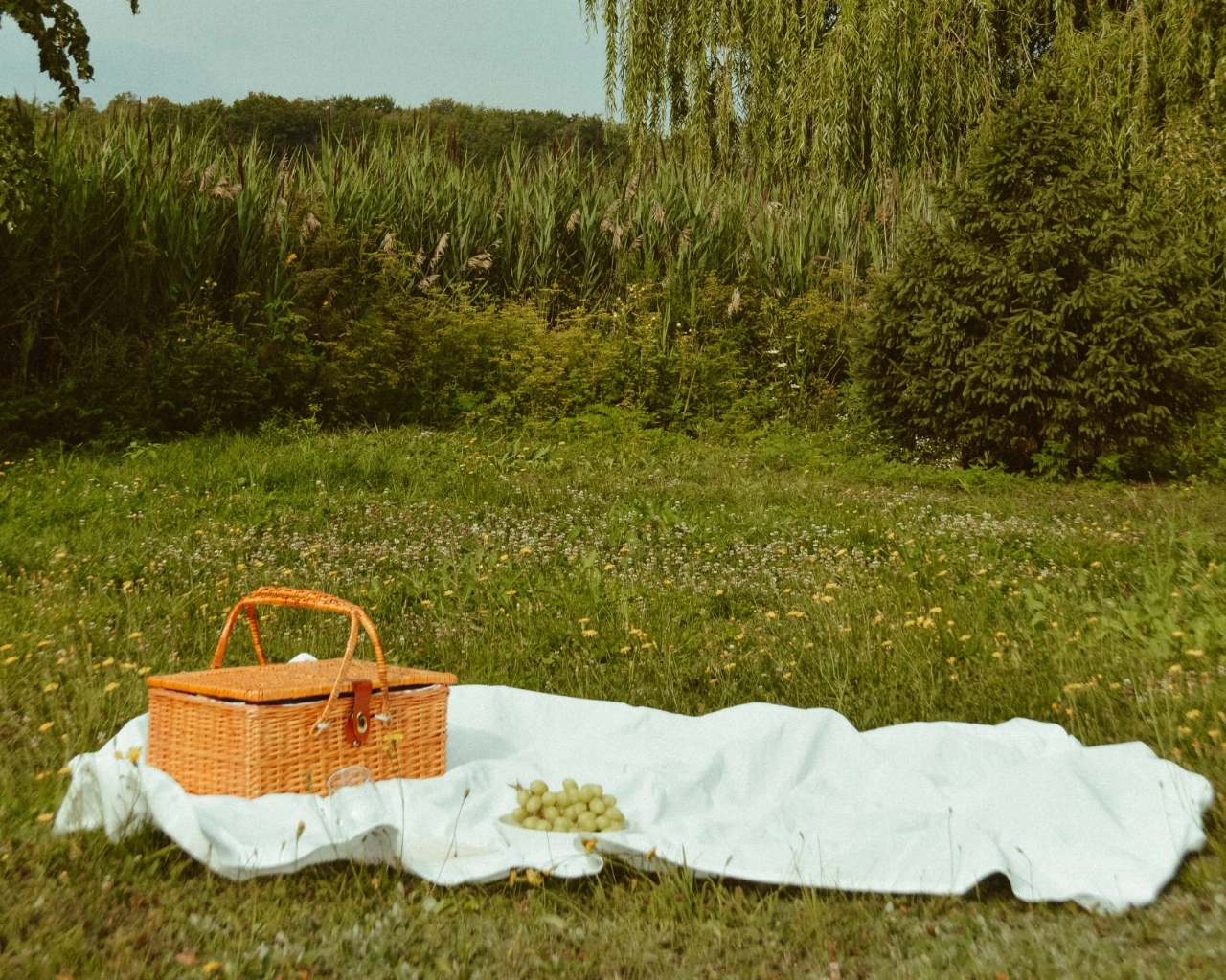 Kom picknicken in het park en geniet van poëzie