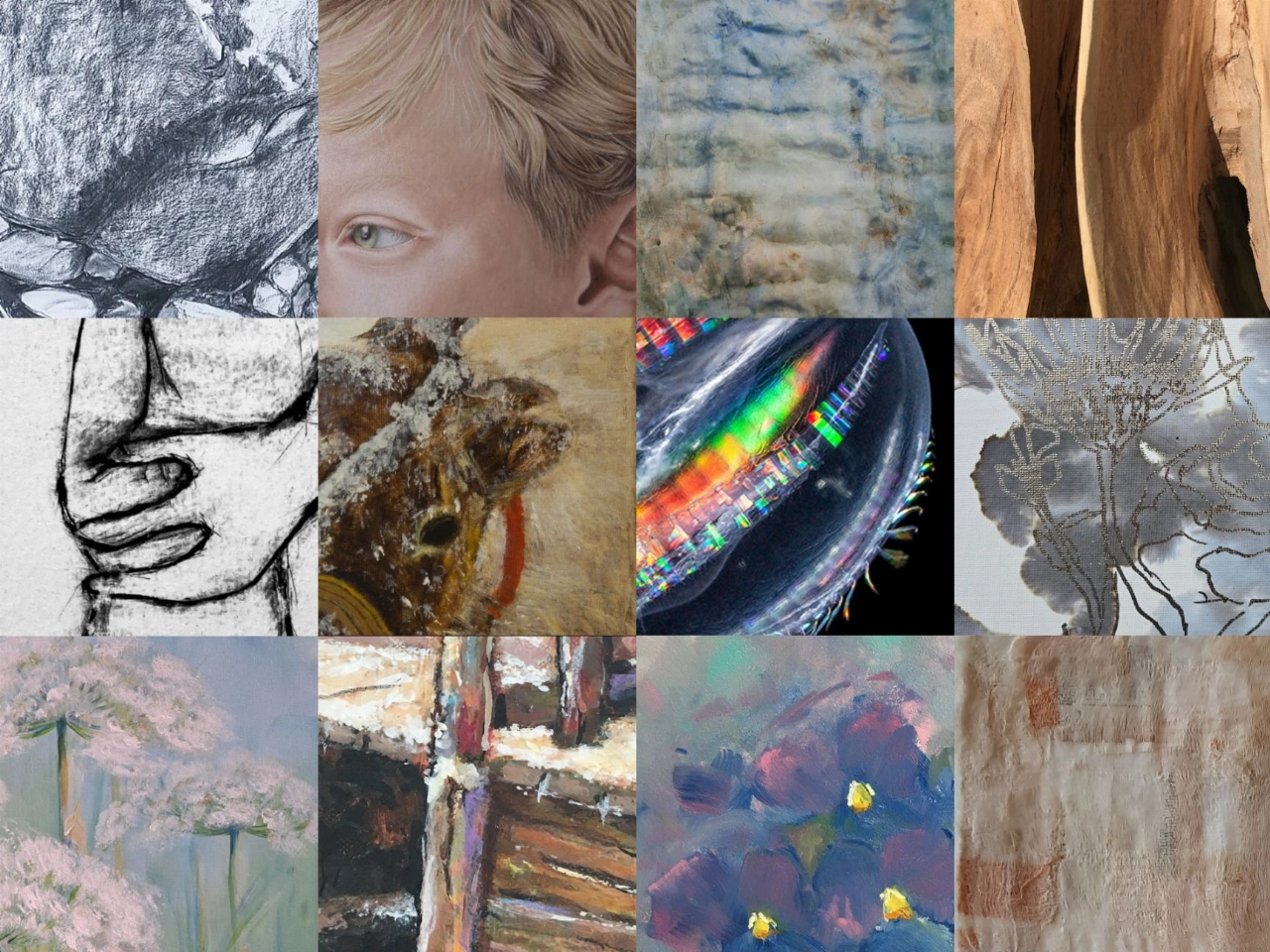 NIEUW werk van 13 Maassluise Kunstenaars in Douanehuisje