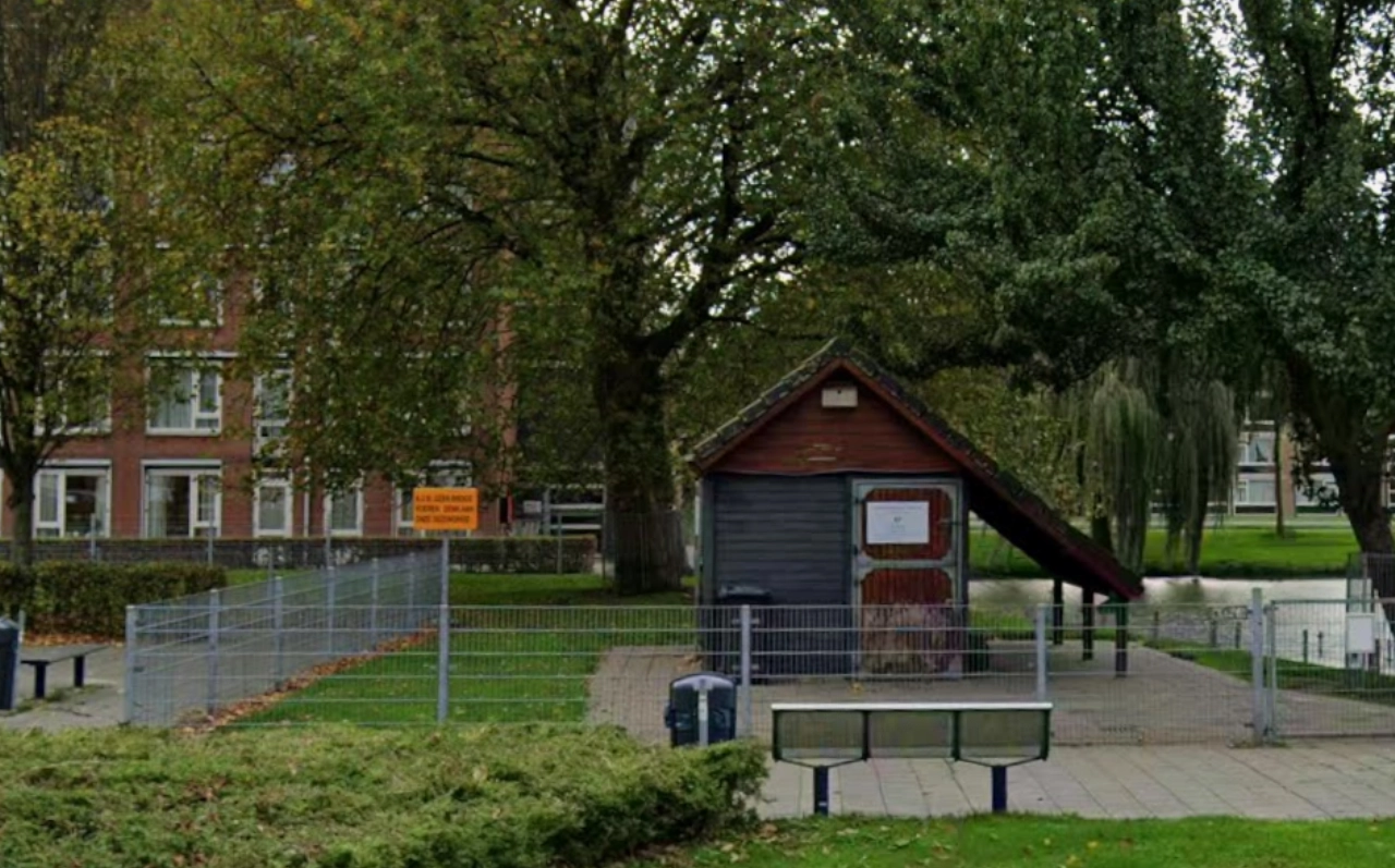 Jongeren terroriseren schapen en geiten bij zorgcentrum