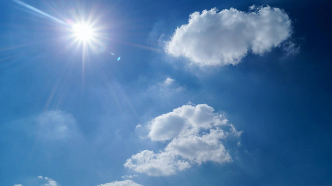 Zomer in Maassluis: samen maken we er een mooie tijd van