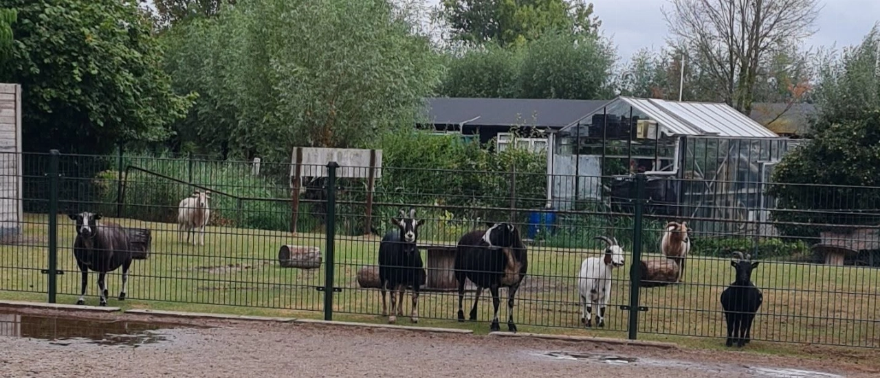 Dierenhoek Lepelaarplantsoen blijft bestaan