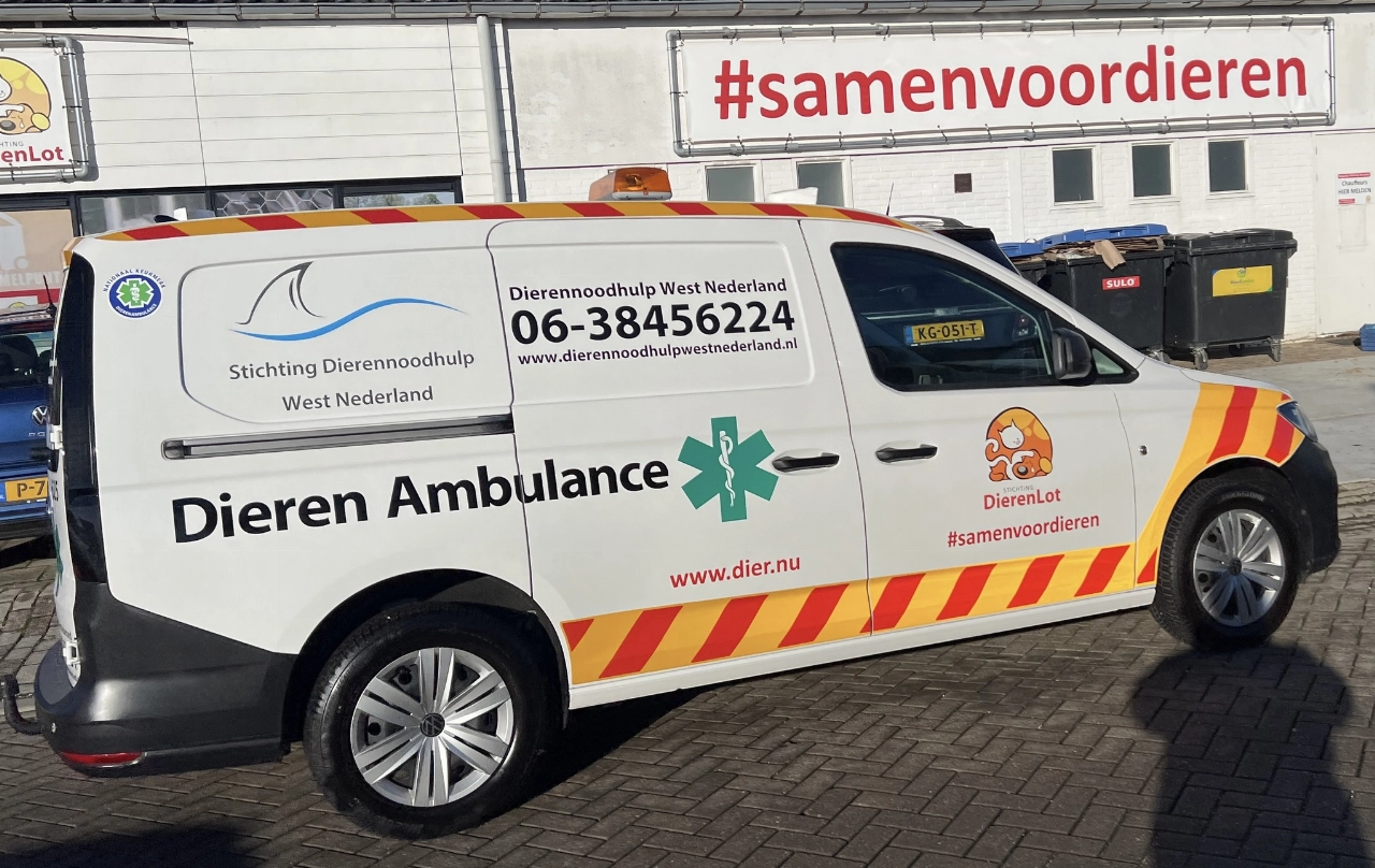 Dierenambulance zoekt informatie na vondst overleden hond en kat in Wipperspark