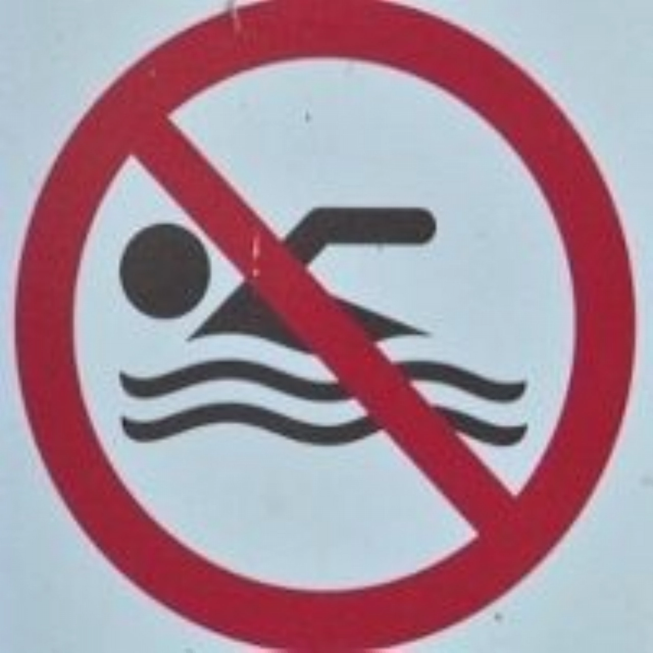 Oppassen voor blauwalgen in Krabbeplas