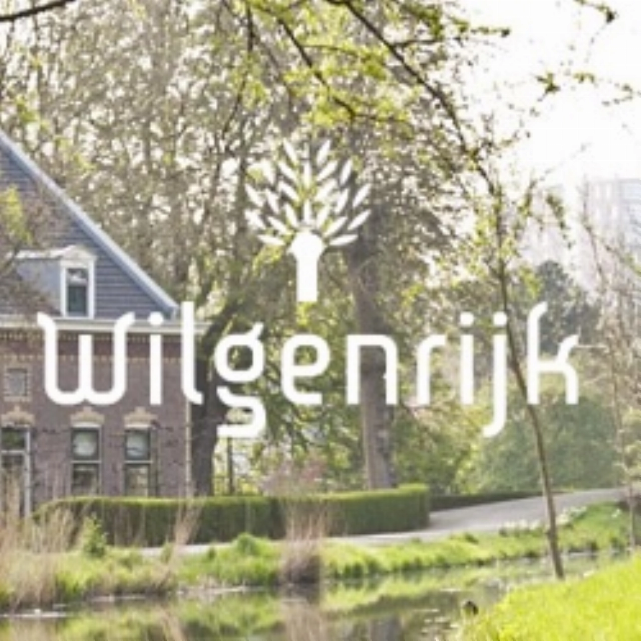 Bouw toegangsbrug Wilgenrijk