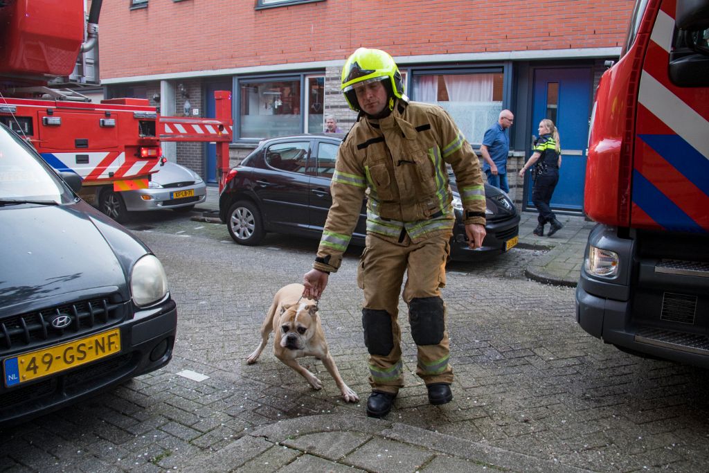 Brandweer redt drie honden uit woning