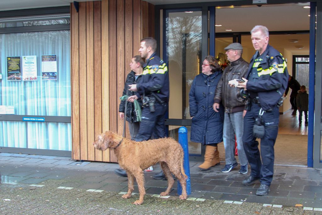 Politie zoekt eigenaar van honden