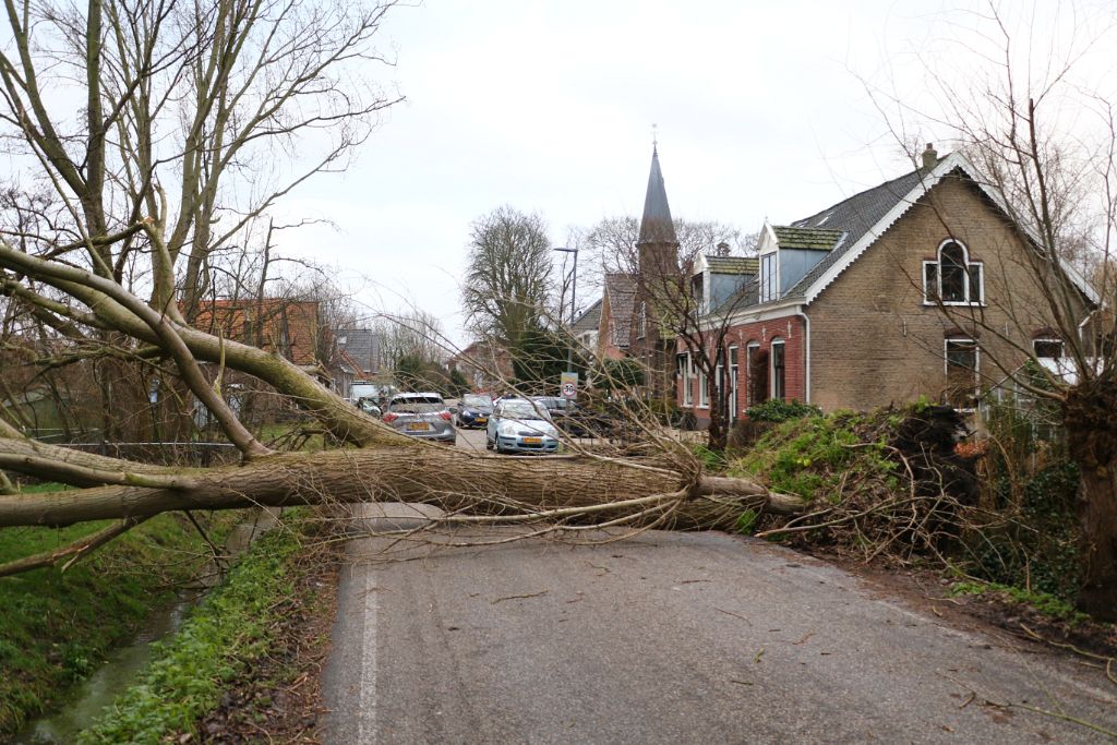 Stormincidenten: 55 stuks in Schiedam