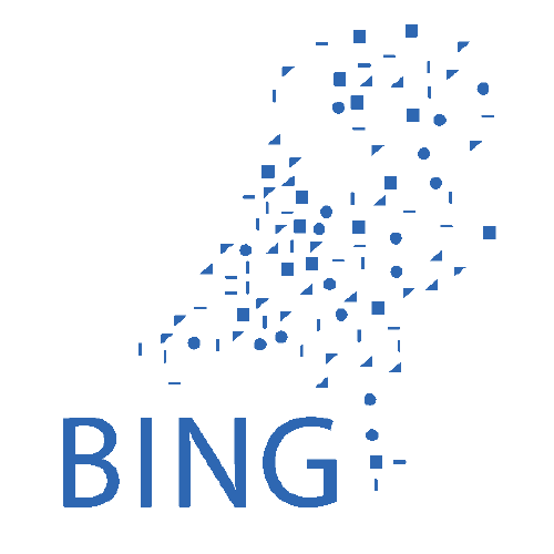 Rechter: Bing moet schade Schiedam betalen