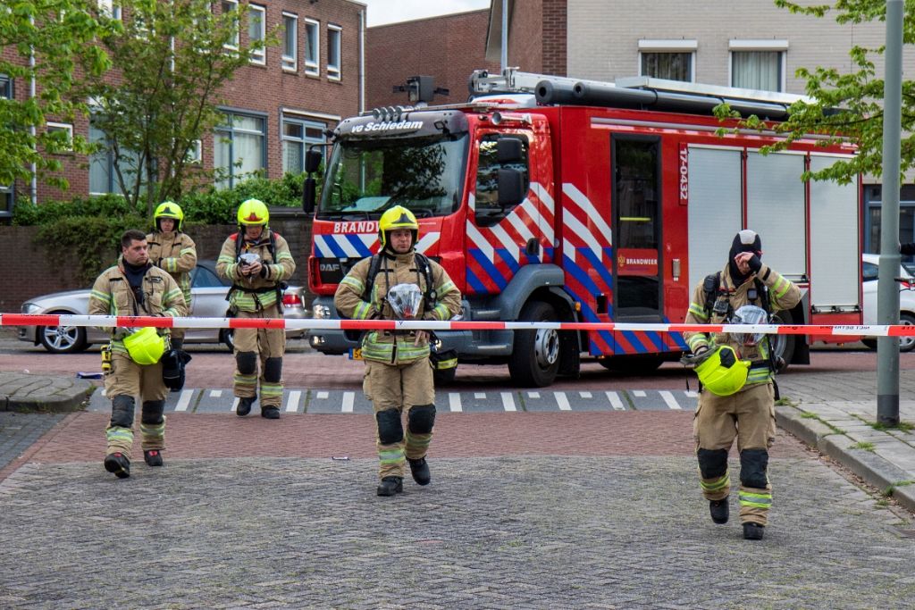 Brand in Nieuwland snel geblust