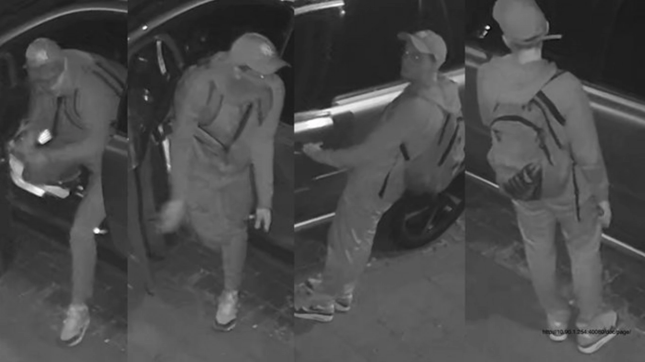 Auto-inbraak in Tuinlaan