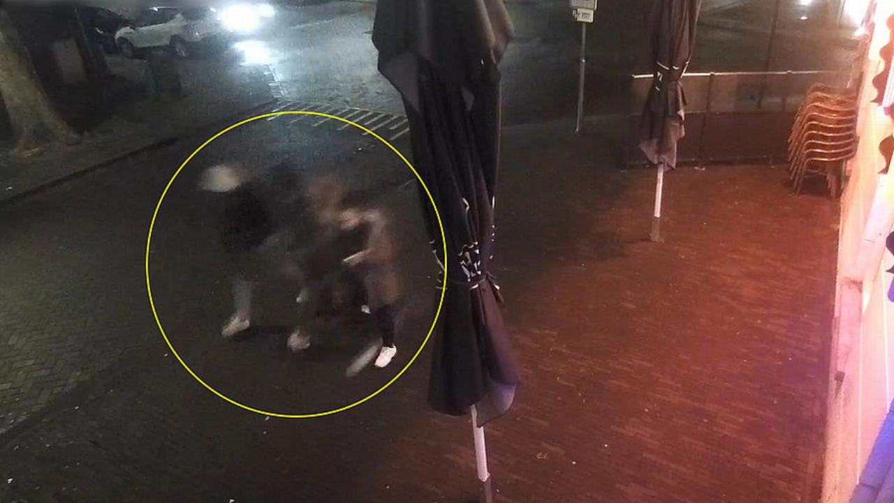 Beelden van mogelijke daders moord Boomgaardstraat