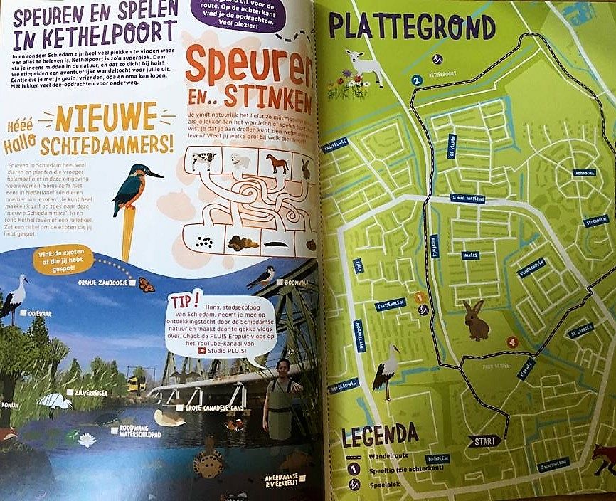Gratis zomerboek voor alle kinderen in Schiedam