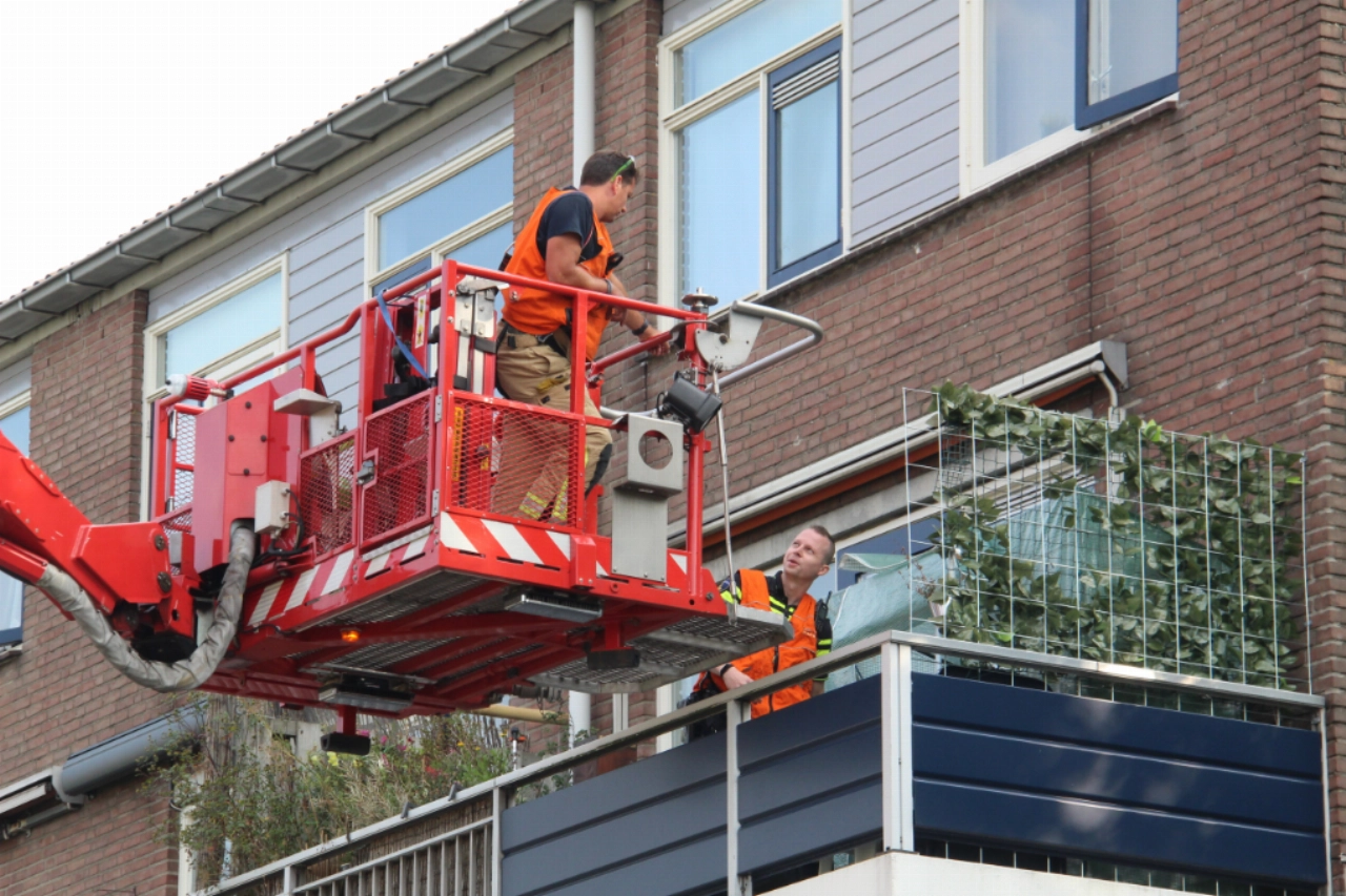 Hennepplanten van balkon gehaald