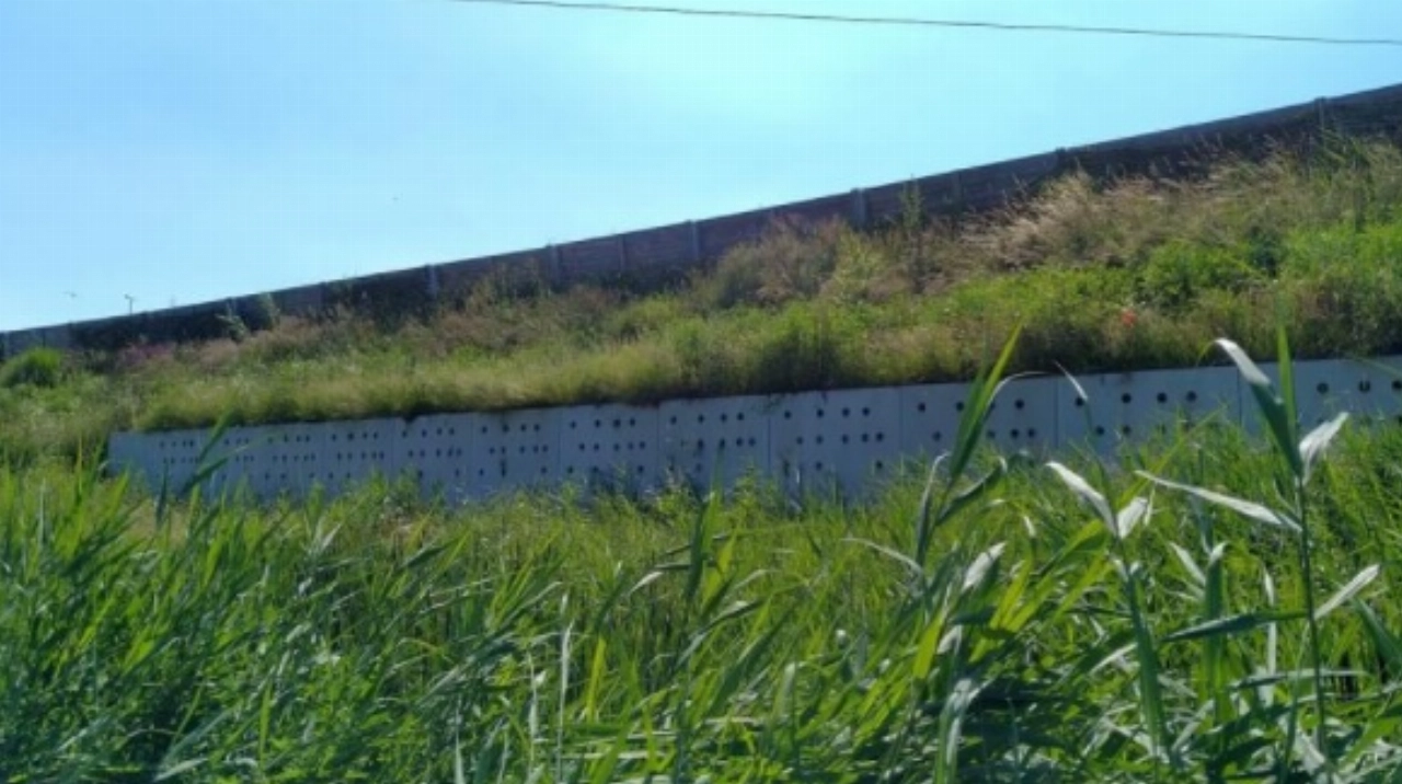 Oeverzwaluwenwand bij A4 wordt goed gebruikt