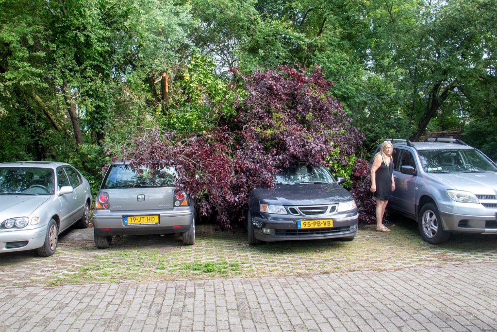 Omvallende boom beschadigt auto's