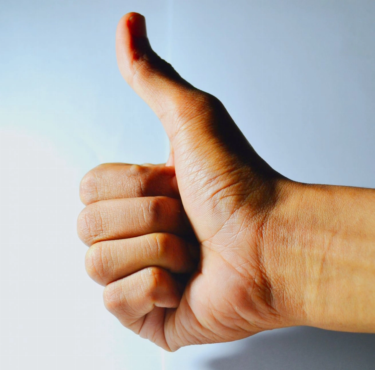 Tevredenheid Schiedammers loopt terug