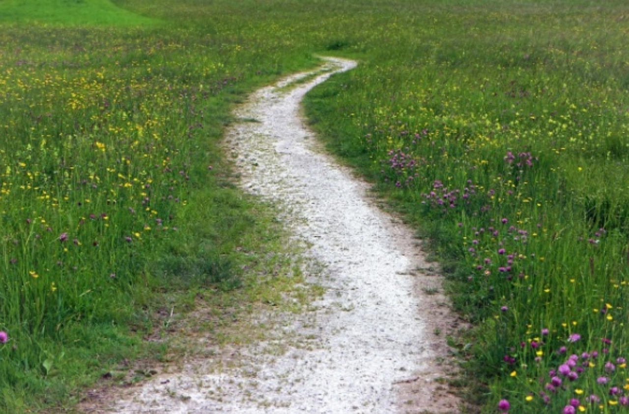 Officiële opening gloednieuw ‘Polderpad in de stad’
