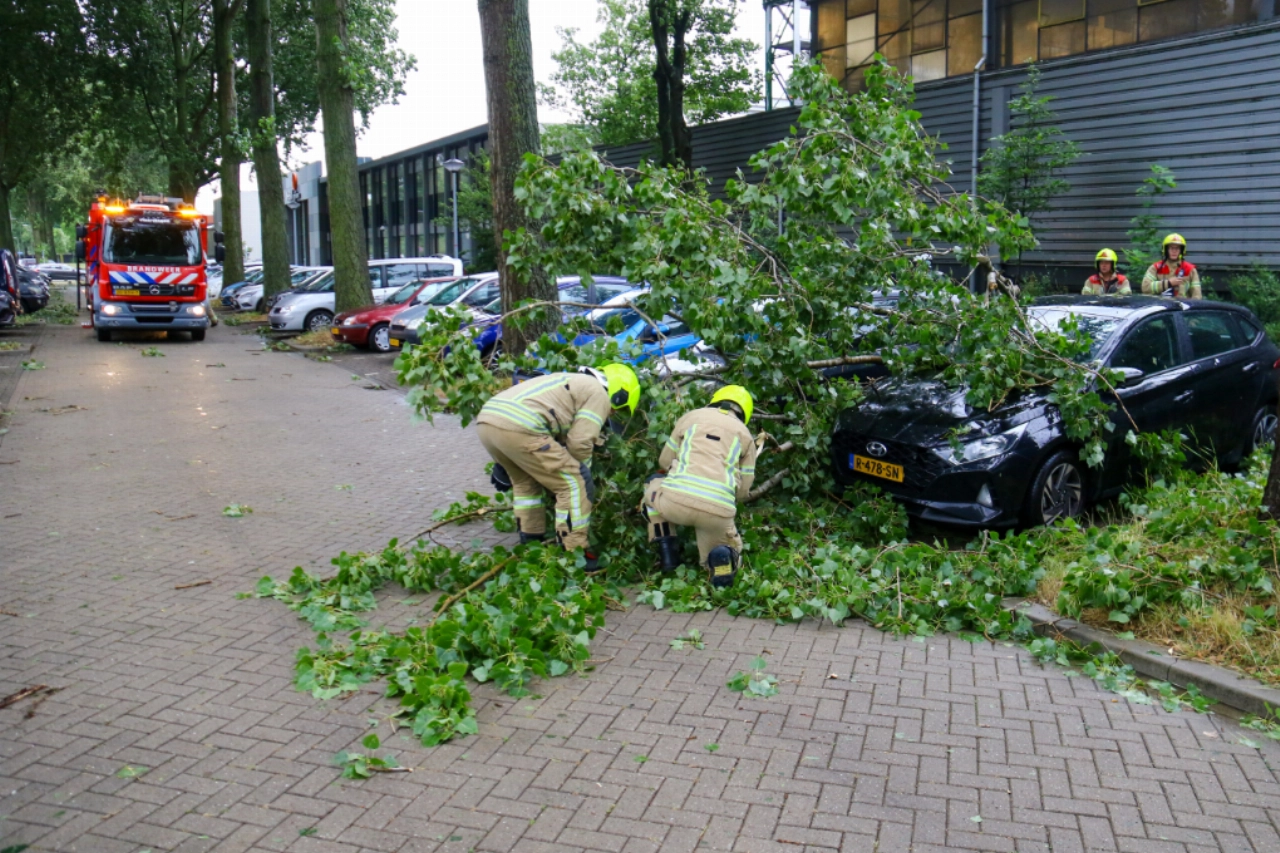 Grote takken vallen op auto&rsquo;s