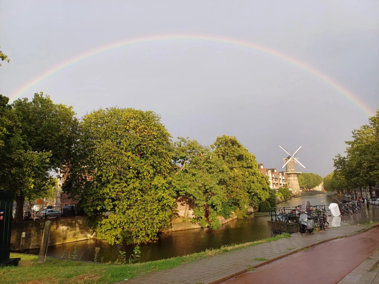 Wie zag die mooie regenboog?