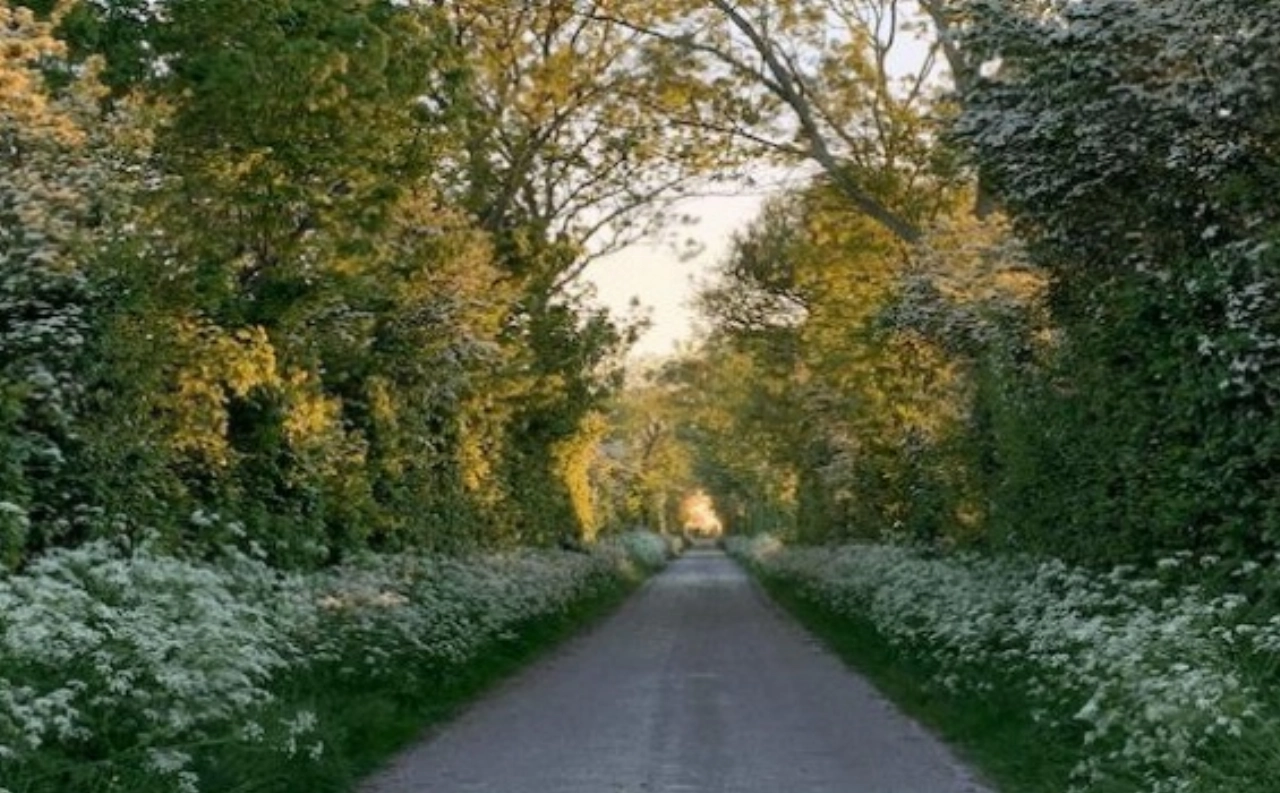 SanaVera strijkt tijdelijk neer in Schiedam