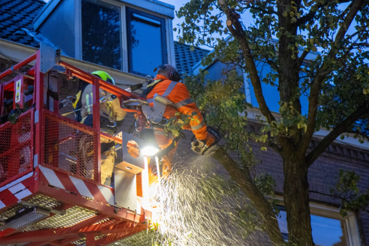 Gevaarlijk bewegende boom moet wijken